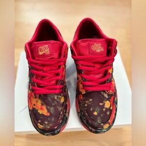 Nike SB Dunk Wizard of Oz - Size 3 Youth